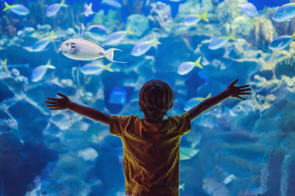aquarium touraine loire fritillaire