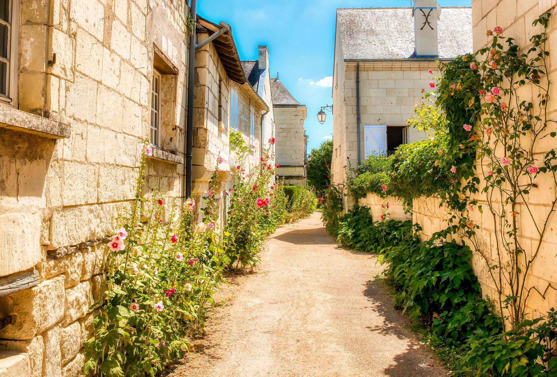 candes saint martin village alentours fritillaire