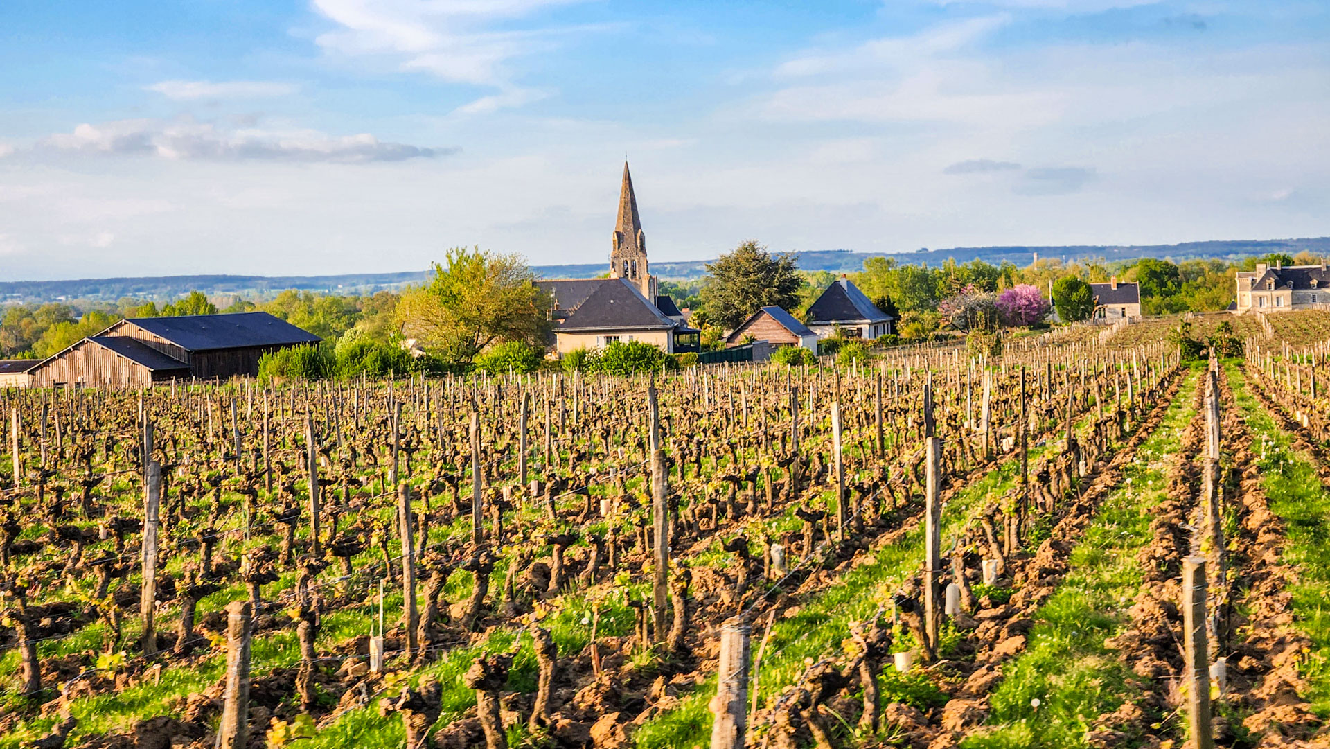 loire vignes vélo découvrir fritillaire
