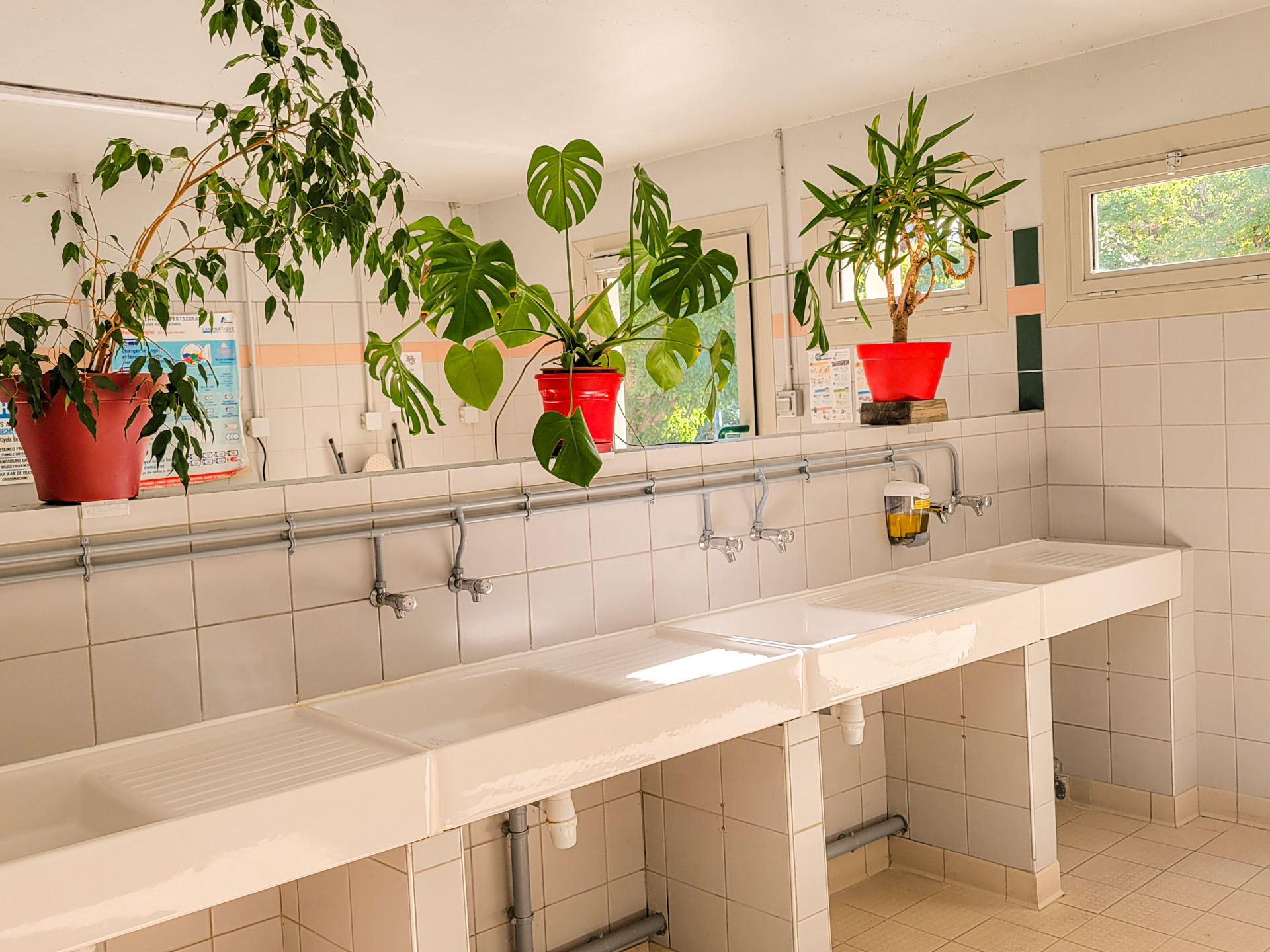 sanitaires la fritillaire